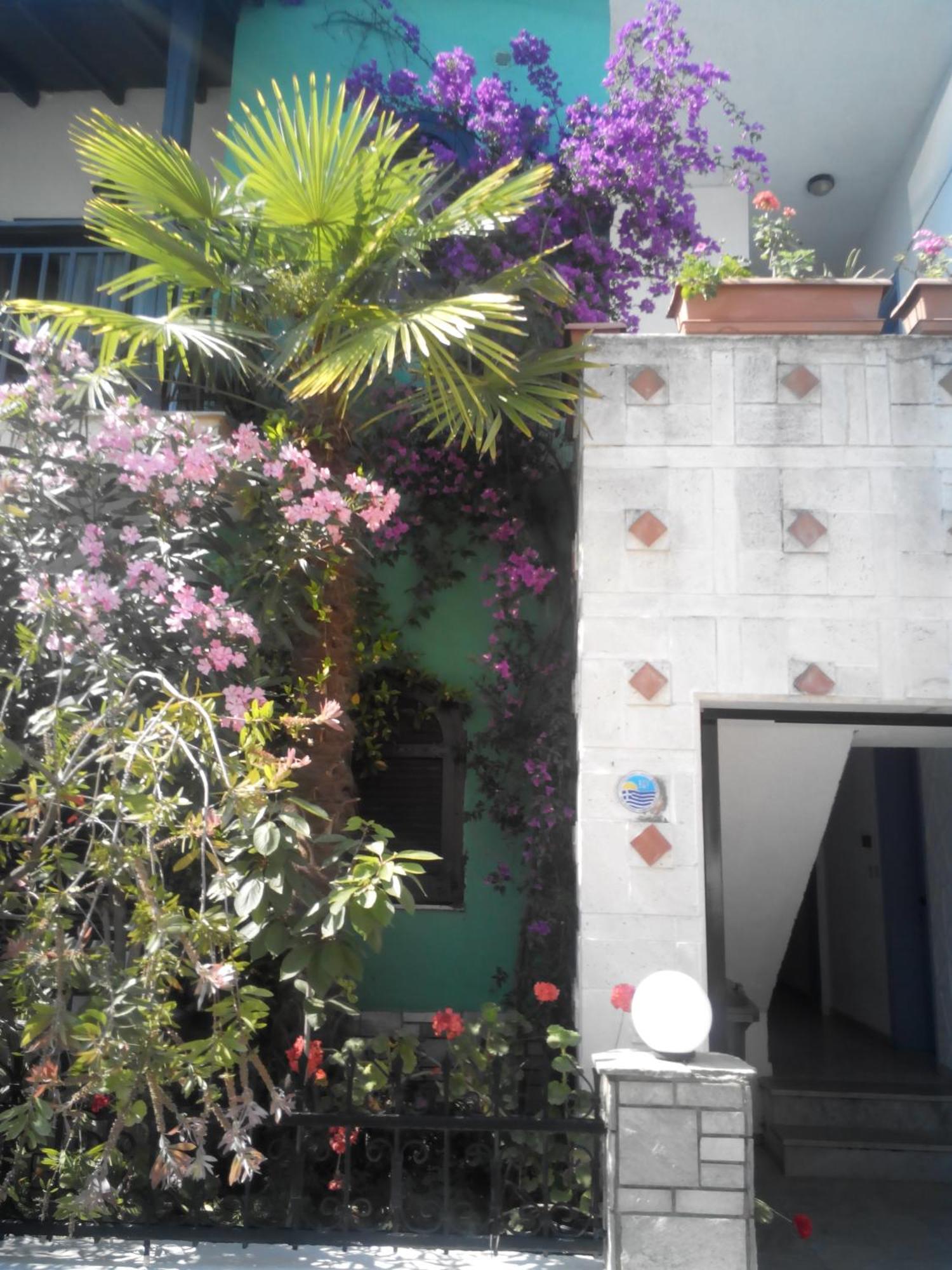 Tassos 2 Aparthotel Pefkochori Ngoại thất bức ảnh